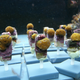 Illustration for article titled Look At These Beautiful Little Corals Grown Like Popsicles In A Lab